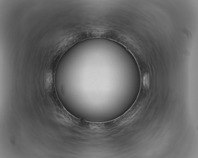 X0000110941299200906261252