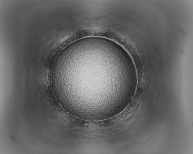 X0000110941301200906261252