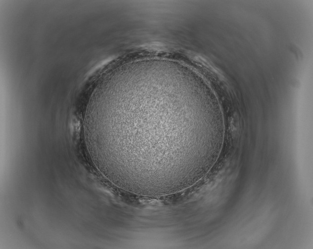 X0000110941302200906261252