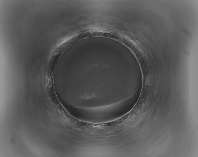 X0000110941303200906261252