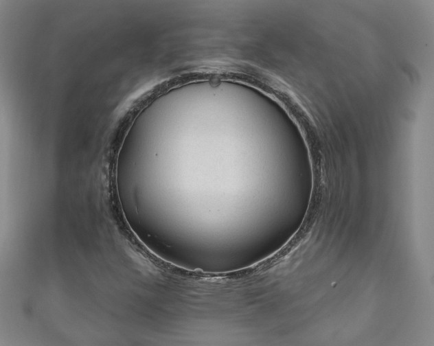 X0000110941304200906261252