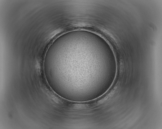 X0000110941305200906261252