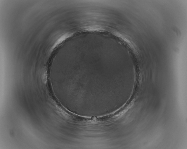 X0000110941306200906261252