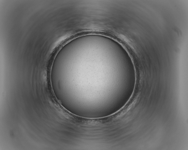 X0000110941307200906261252