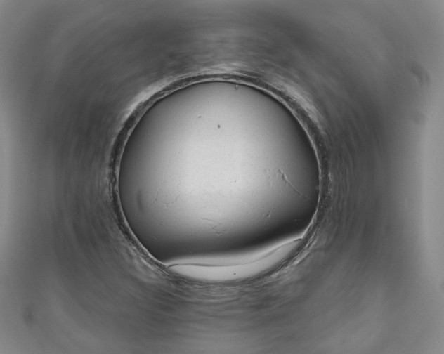 X0000110941308200906261252