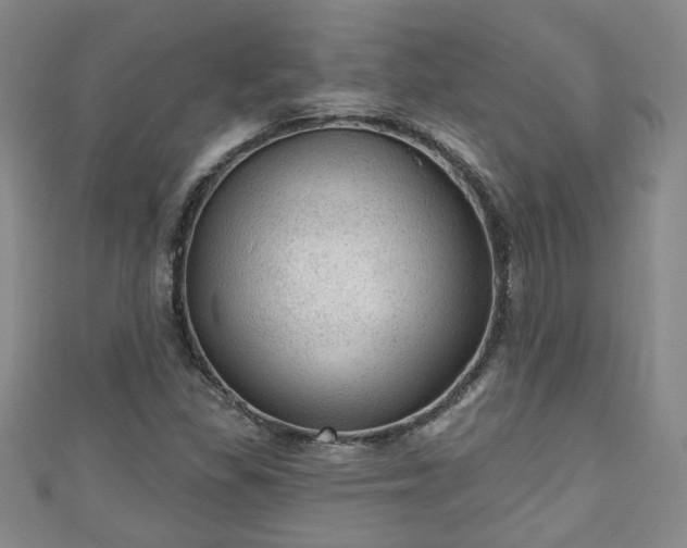 X0000110941309200906261252