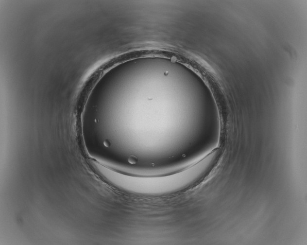 X0000110941310200906261252