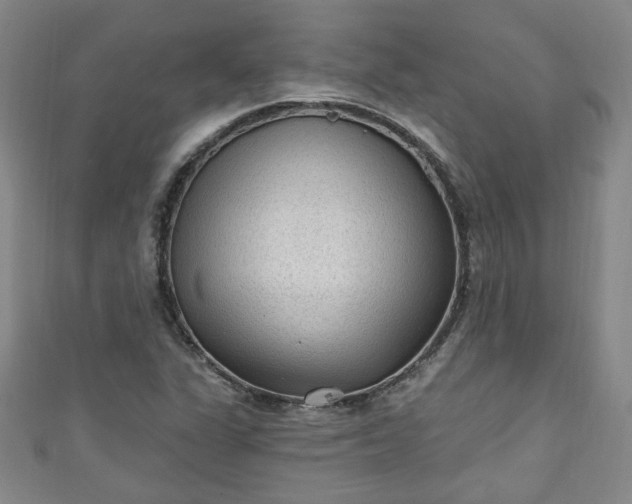 X0000110941311200906261252