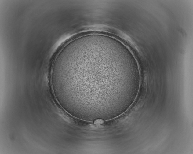 X0000110941312200906261252