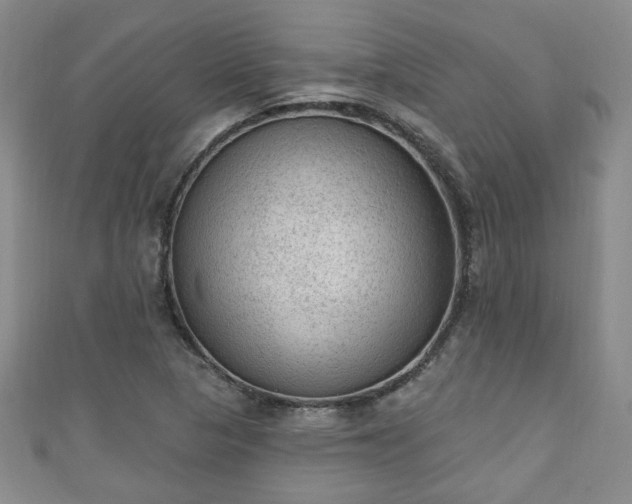 X0000110941313200906261252