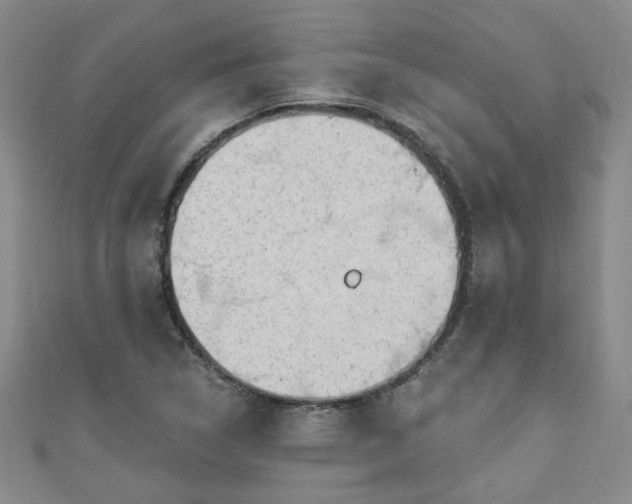 X0000110941314200906261252