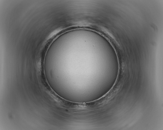 X0000110941315200906261252