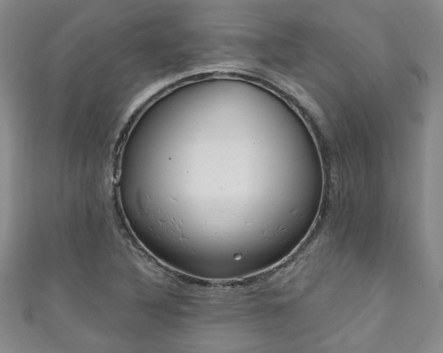 X0000110941316200906261252