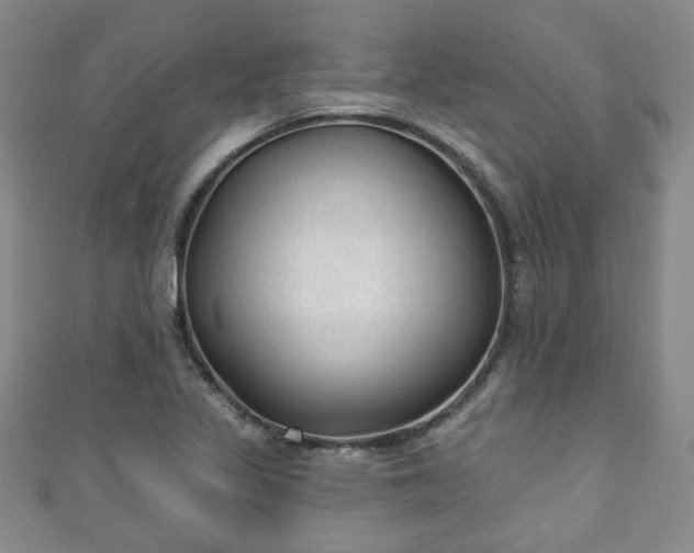 X0000110941317200906261252