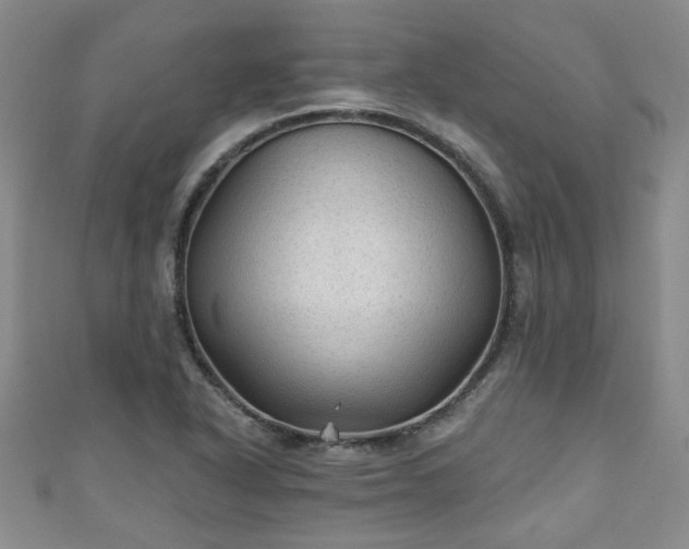 X0000110941318200906261252