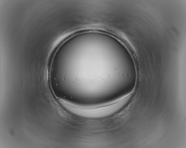 X0000110941320200906261252