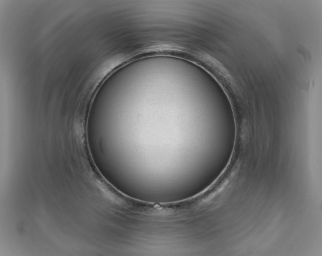 X0000110941321200906261252