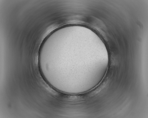 X0000110941322200906261252