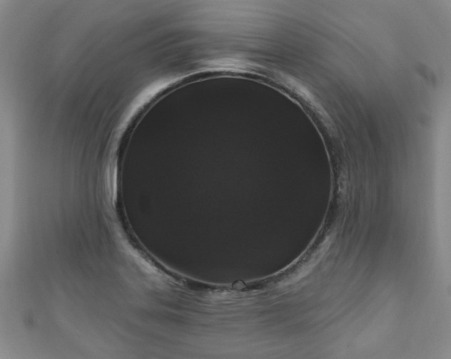 X0000110941323200906261252