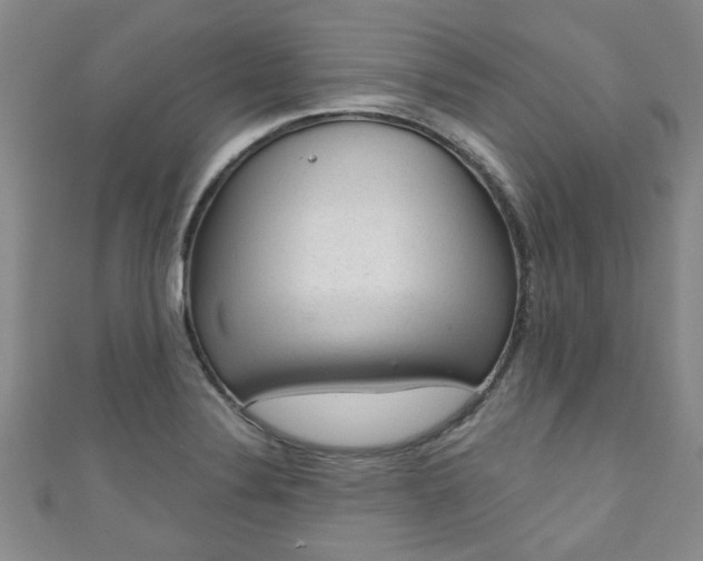 X0000110941324200906261252