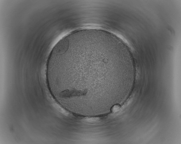 X0000110941325200906261252