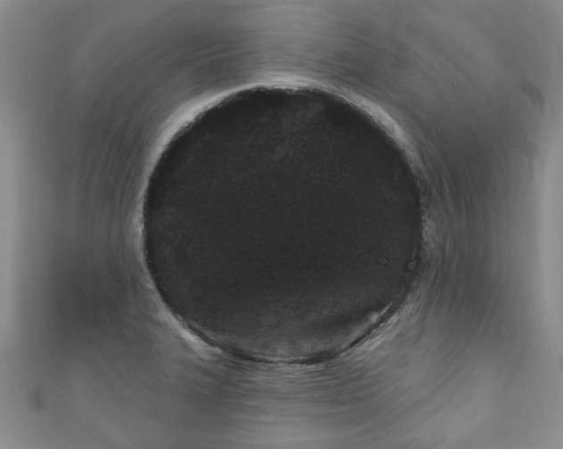 X0000110941327200906261253