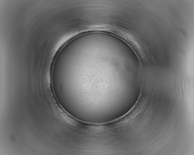 X0000110941328200906261253