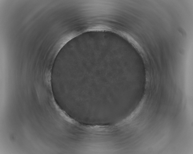 X0000110941329200906261253