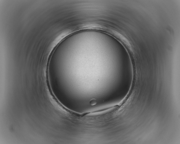 X0000110941330200906261253