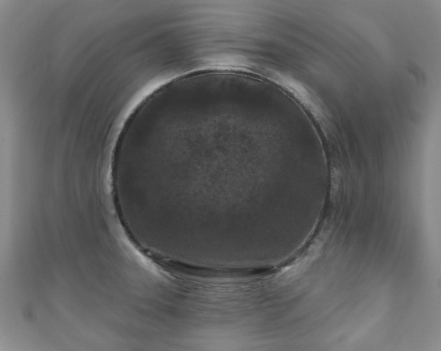 X0000110941331200906261253