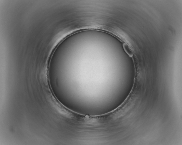 X0000110941332200906261253