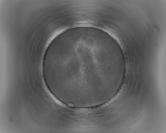 X0000110941333200906261253