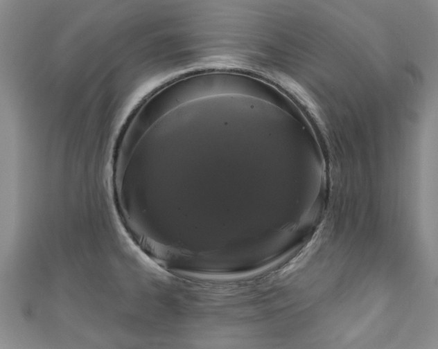 X0000110941334200906261253