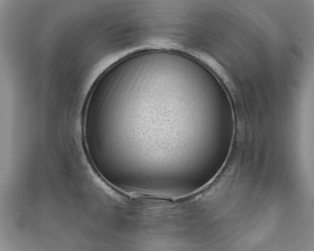 X0000110941335200906261253