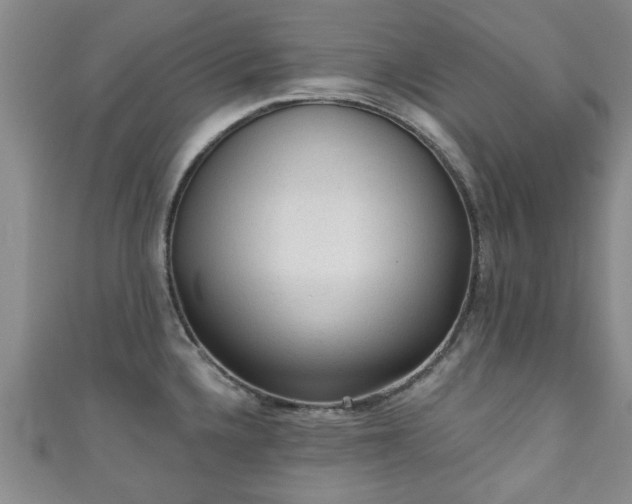 X0000110941336200906261253