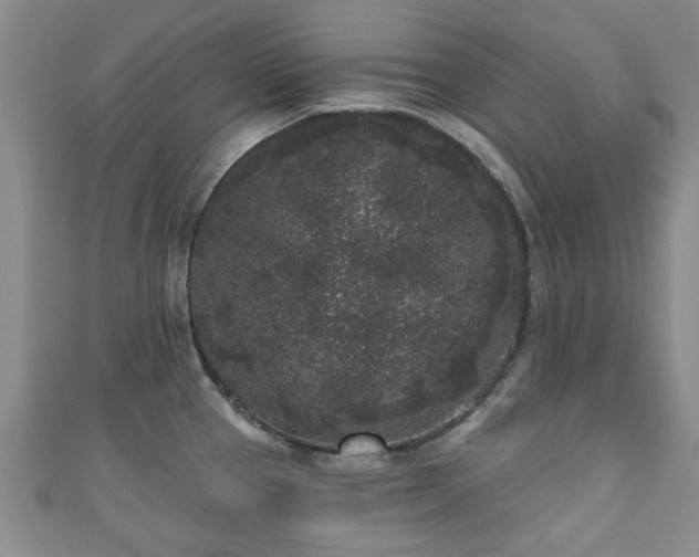 X0000110941337200906261253