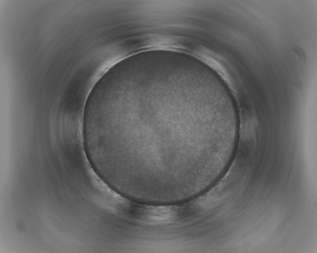 X0000110941338200906261253