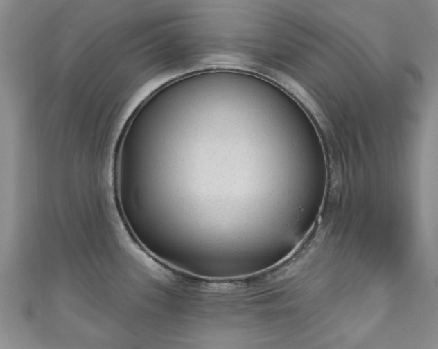 X0000110941339200906261253