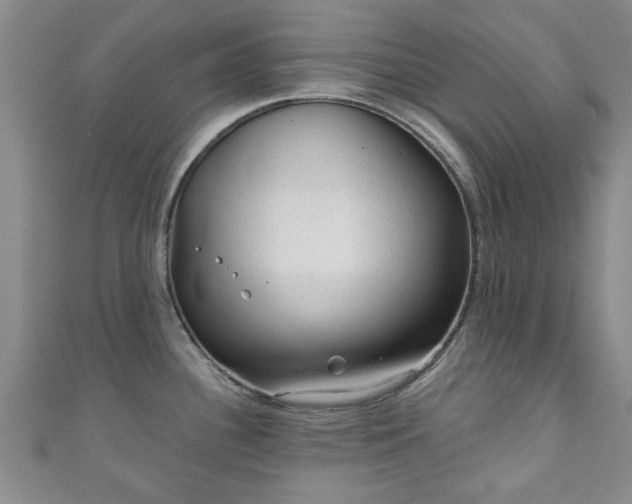 X0000110941340200906261253