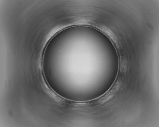 X0000110941342200906261253