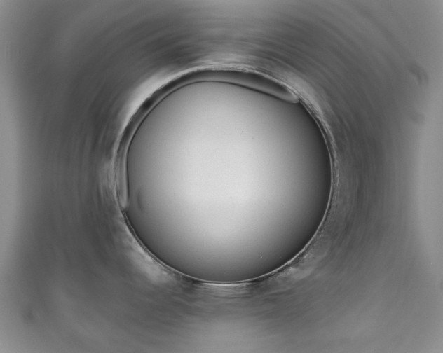 X0000110941344200906261253