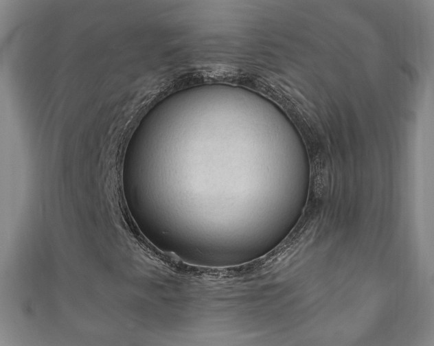 X0000110941345200906261252