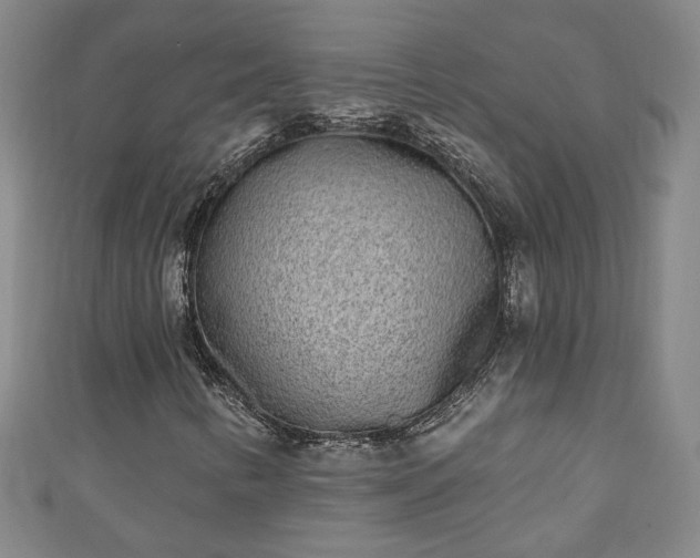 X0000110941346200906261252