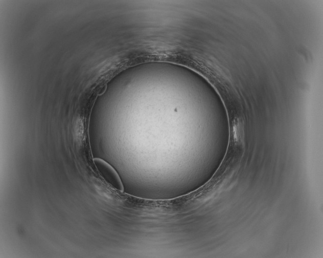 X0000110941347200906261252