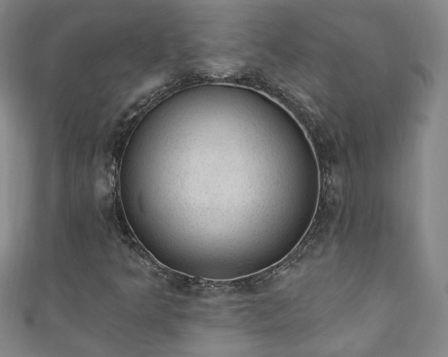 X0000110941349200906261252