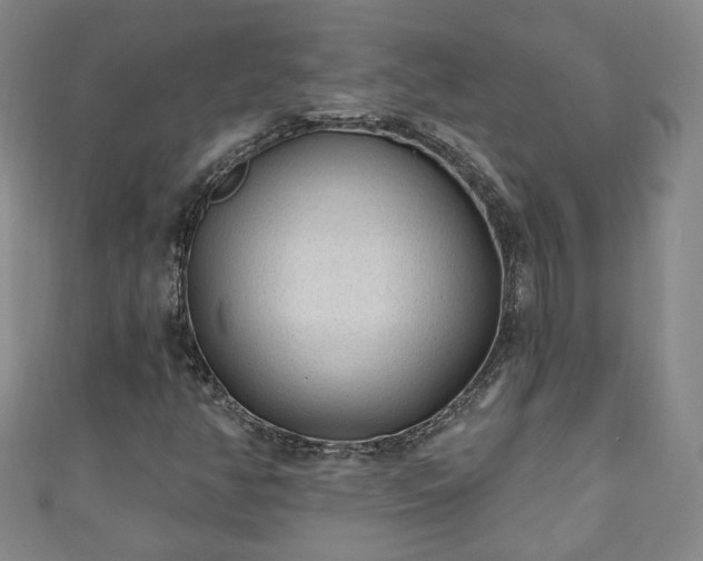 X0000110941350200906261252