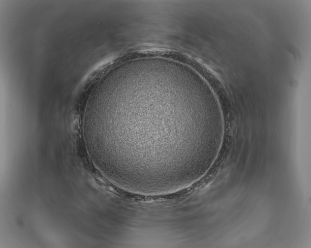 X0000110941351200906261252