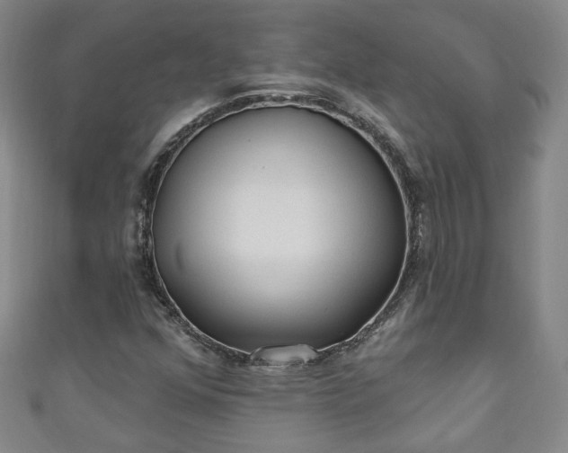 X0000110941352200906261252