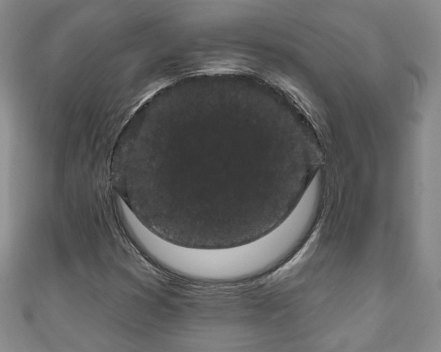 X0000110941353200906261252