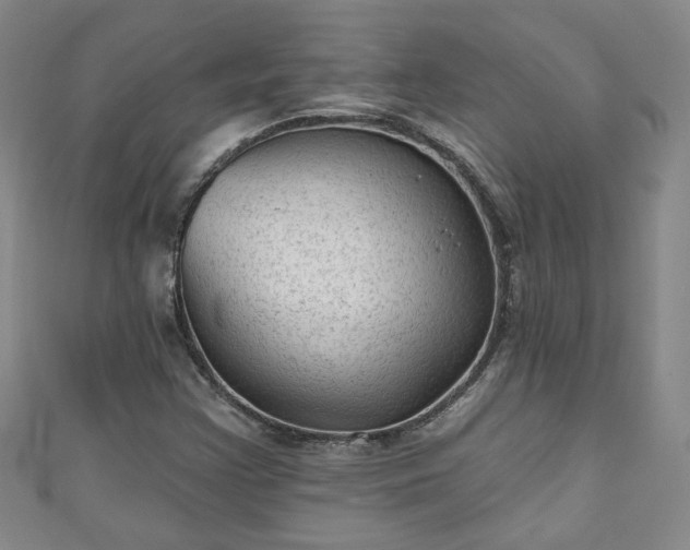 X0000110941355200906261252